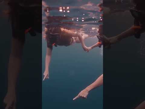 youtube - [Video]